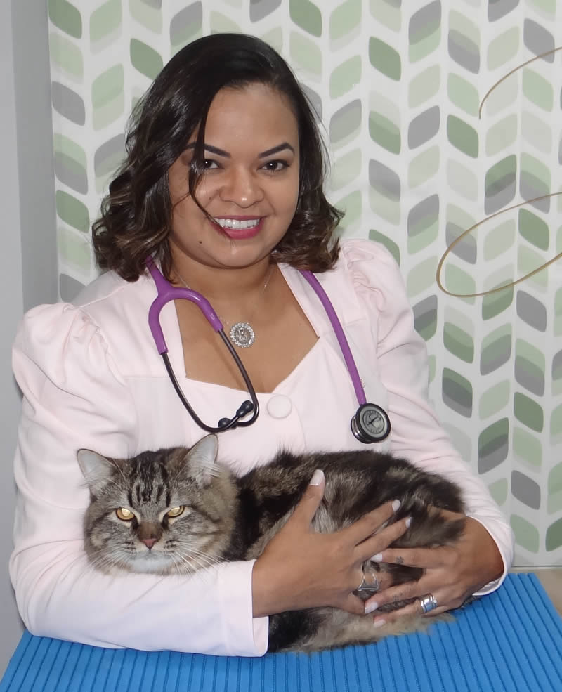 Leia mais sobre o artigo Leucemia viral felina: cuide do seu gatinho
