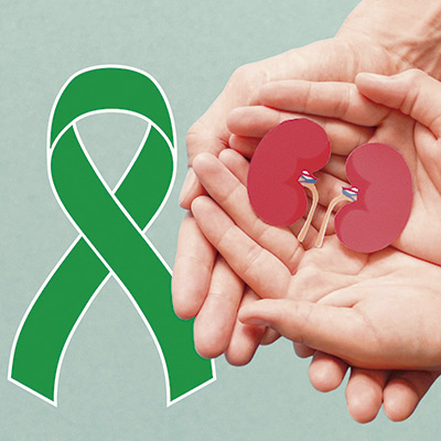 Leia mais sobre o artigo Você é doador de órgãos?